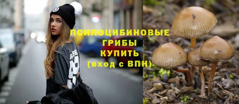 Галлюциногенные грибы Magic Shrooms  Луга 